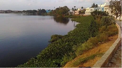 Chitlapakkam Lake